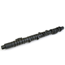Load image into Gallery viewer, Skunk2 Tuner Series D-Series Honda Stage 2 Camshaft - Main Product View