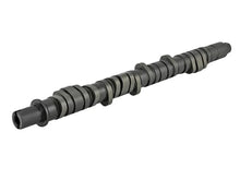 Load image into Gallery viewer, Skunk2 Tuner Series D-Series Honda Stage 2 Camshaft - Additional View 5