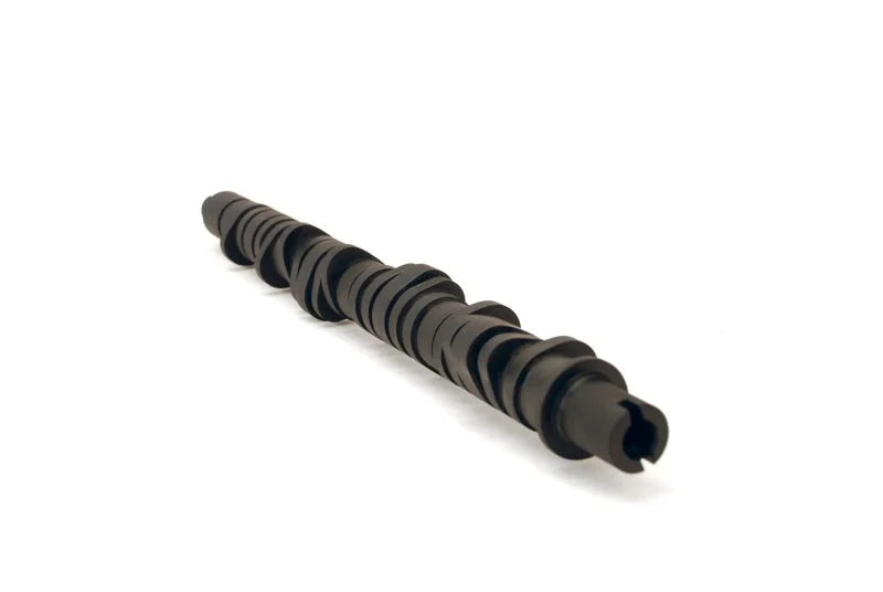 Skunk2 Tuner Series D-Series Honda Stage 4 Camshaft - Main Product View