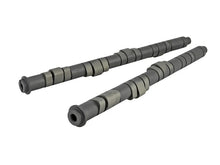 Load image into Gallery viewer, Skunk2 Tuner Series Honda H22A/F20B DOHC VTEC Stage 2 Cam Shafts - Back View