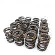 Load image into Gallery viewer, Skunk2 Tuner Series Honda/Acura (B16A/ B17A/ B18C) DOHC VTEC Alpha Valve Spring Set (Dual Springs) - Main Product View