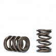 Load image into Gallery viewer, Skunk2 Tuner Series Honda/Acura (B16A/ B17A/ B18C) DOHC VTEC Alpha Valve Spring Set (Dual Springs) - Side View