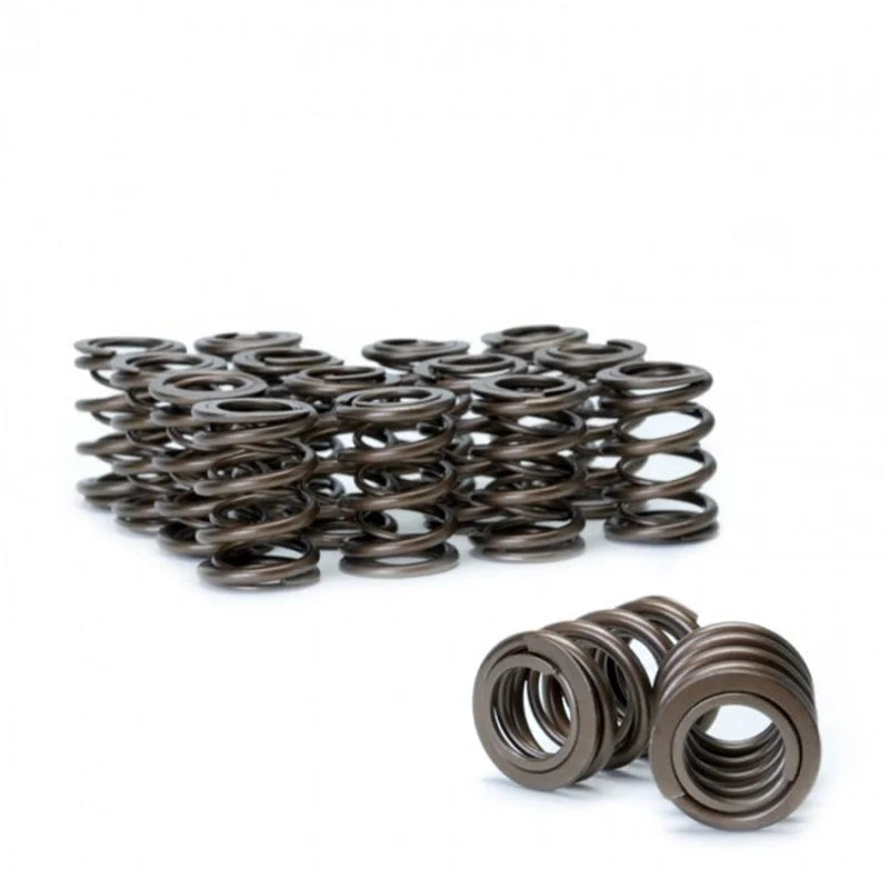 Skunk2 Tuner Series Honda/Acura (B16A/ B17A/ B18C) DOHC VTEC Alpha Valve Spring Set (Dual Springs) - Back View