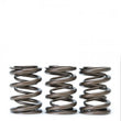 Load image into Gallery viewer, Skunk2 Tuner Series Honda/Acura (B16A/ B17A/ B18C) DOHC VTEC Alpha Valve Spring Set (Dual Springs) - Additional View 5