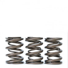 Load image into Gallery viewer, Skunk2 Tuner Series Honda/Acura (H22A/F20B) DOHC VTEC Alpha Valve Spring Set (Dual Springs) - Side View