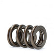 Load image into Gallery viewer, Skunk2 Tuner Series Honda/Acura (H22A/F20B) DOHC VTEC Alpha Valve Spring Set (Dual Springs) - Back View