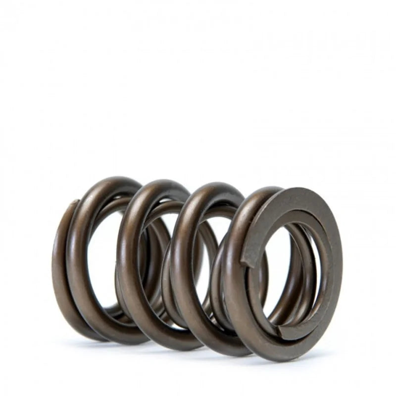 Skunk2 Tuner Series Honda/Acura (H22A/F20B) DOHC VTEC Alpha Valve Spring Set (Dual Springs) - Back View