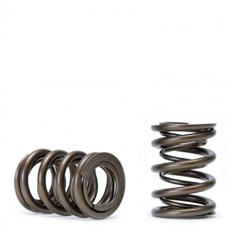 Skunk2 Tuner Series Honda/Acura (K20/K24/F20C/F22C) DOHC VTEC Alpha Valve Spring Set (Dual Springs) - Detail View