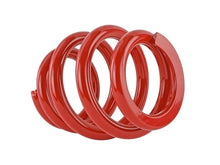 Load image into Gallery viewer, Skunk2 Universal Race Spring (Elliptical) - 6 in.L - 2.5 in.ID - 14kg/mm (0600.250.014E) - Installation View