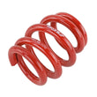 Load image into Gallery viewer, Skunk2 Universal Race Spring (Elliptical) - 6 in.L - 2.5 in.ID - 18kg/mm (0600.250.018E) - Back View