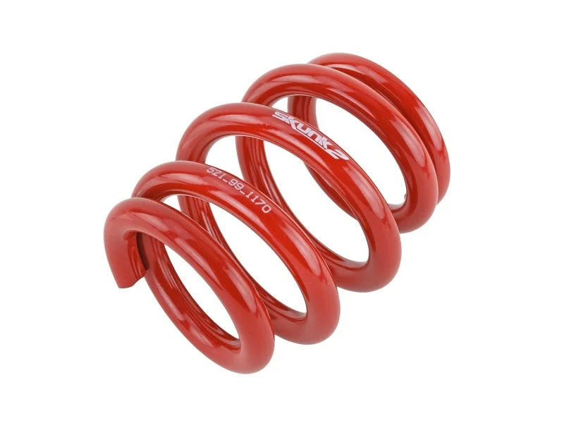Skunk2 Universal Race Spring (Elliptical) - 6 in.L - 2.5 in.ID - 18kg/mm (0600.250.018E) - Back View