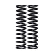 Load image into Gallery viewer, Skyjacker 2.5 In x 14 In x 150lb Universal Coilover Coil Springs