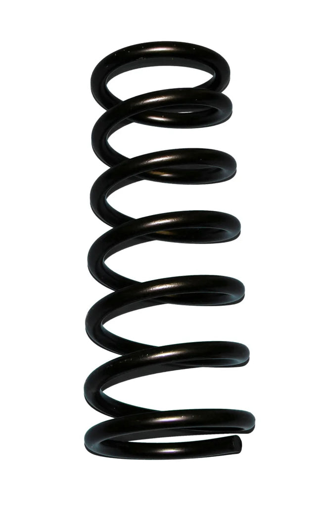 Skyjacker Coil Spring Set 1994-2001 Dodge Ram 1500 4 Wheel Drive - Side View