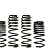 Load image into Gallery viewer, Skyjacker Coil Spring Set 2007-2010 Jeep Wrangler (JK) 4 Wheel Drive