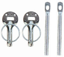 Load image into Gallery viewer, Sparco Hood Pin Silver - Main Product View
