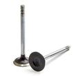 Load image into Gallery viewer, Speed Pro 1.600in Exhaust Valve Discontinued 08/04/20 VD SEAV1755-2