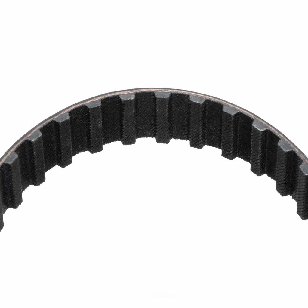 Stock Car Products 24in Dry Sump Belt 240L100 - Main Product View