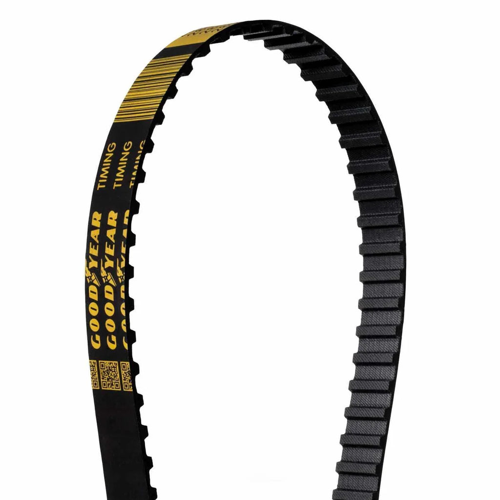 Stock Car Products 24in Dry Sump Belt 240L100 - Side View