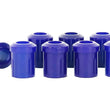 Load image into Gallery viewer, SuperPro 1961 Triumph TR4 Base Rear Shackle Pin Bushing Kit - Back View