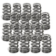 Load image into Gallery viewer, Supertech Audi 2.5T FSI Beehive Valve Springs - Set of 16