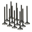 Load image into Gallery viewer, Supertech Audi/VW 1.8T 5V Triple Groove Black Nitride Exhaust Valve - Set of 12