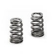 Load image into Gallery viewer, Supertech BMW N54 Conical Valve Spring - Set of 24