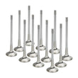 Load image into Gallery viewer, Supertech BMW N54 Turbo Sodium Filled Exhaust Valves - Set of 12 - Side View