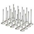 Load image into Gallery viewer, Supertech BMW S85 V10 Inconel Exhaust Valve - +2mm Oversize - Set of 20 - Main Product View