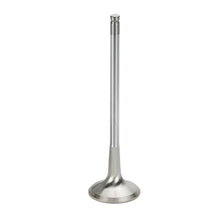 Load image into Gallery viewer, Supertech BMW S85 V10 Inconel Exhaust Valve - +2mm Oversize - Set of 20 - Side View