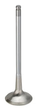 Load image into Gallery viewer, Supertech Nissan VK56DE Inconel Exhaust Valve - Set of 16