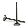 Load image into Gallery viewer, Supertech Peugeot 206/306 33.3x5.96x106.18mm Chromed Intake Valve - Set of 8
