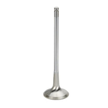 Load image into Gallery viewer, Supertech SB Chevy 1.600x.341x5.000in Chrome Undercut Exhaust Valve - Single (Drop Ship Only)
