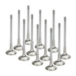 Load image into Gallery viewer, Supertech Subaru EG33 H6 24V Black Nitrided Inconel Exhaust Valve - Set of 12 - Main Product View