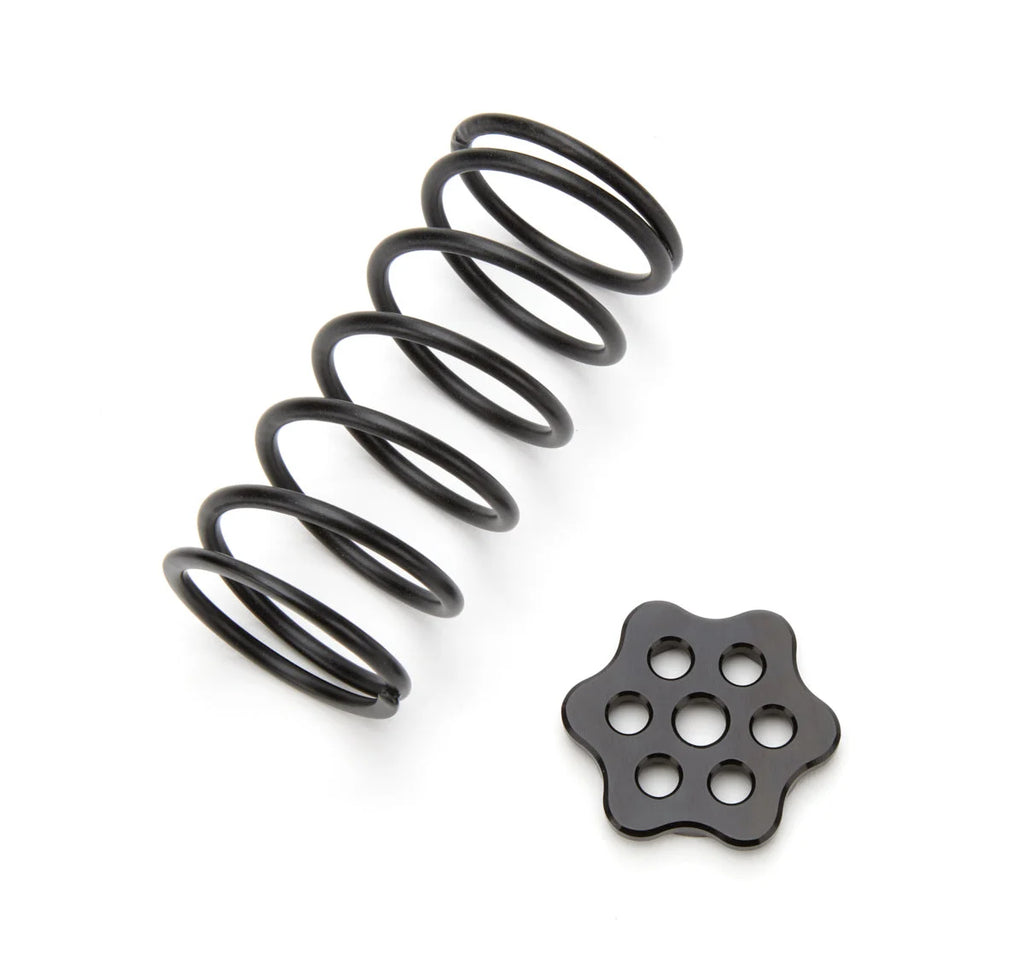 TI22 Performance Master Cylinder Return Spring Black Steel Kit TIP4220