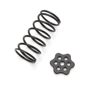 TI22 Performance Master Cylinder Return Spring Black Steel Kit TIP4220