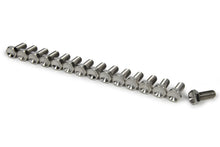 Load image into Gallery viewer, TI22 Performance Wheel Center Bolt Kit 15pcs Titanium TIP1015