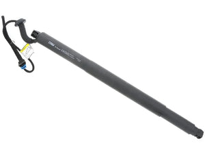 TRW Hatch Shock TSG367074