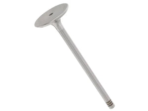 TRW Intake Valve 11960