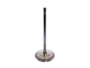 TRW Intake Valve 300100
