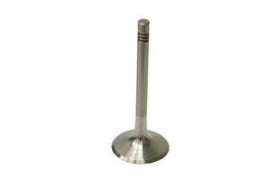 TRW Intake Valve 3063