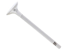 Load image into Gallery viewer, TRW Intake Valve 331131
