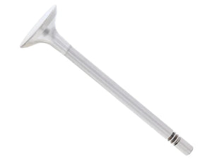 TRW Intake Valve 331131