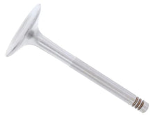 Load image into Gallery viewer, TRW Intake Valve 92810540902