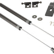 Load image into Gallery viewer, TR Carbon Hood Dampers – Bolt-On Gas Strut Kit