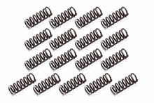 Load image into Gallery viewer, TSR Racing P/G HD Reverse Springs APG-2832HD