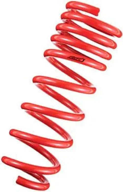 Tanabe DF210 Springs 06-07 GS300 - Side View