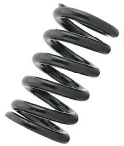 Tein Honda / Acura Replacement Straight Spring C06 - ID 70mm - Length 250mm - 6kg (pair)