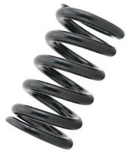 Load image into Gallery viewer, Tein Honda / Acura Replacement Straight Spring C06 - ID 70mm - Length 250mm - 6kg (pair)