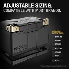 Load image into Gallery viewer, The NOCO Company - Archived NOCO GROUP 9 LITHIUM POWERSPORTS BATTERY NLP9 - Back View