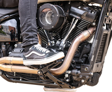 Load image into Gallery viewer, Thrashin Supply Co. Billet Brake Arm - Black - FL/FX - Back View